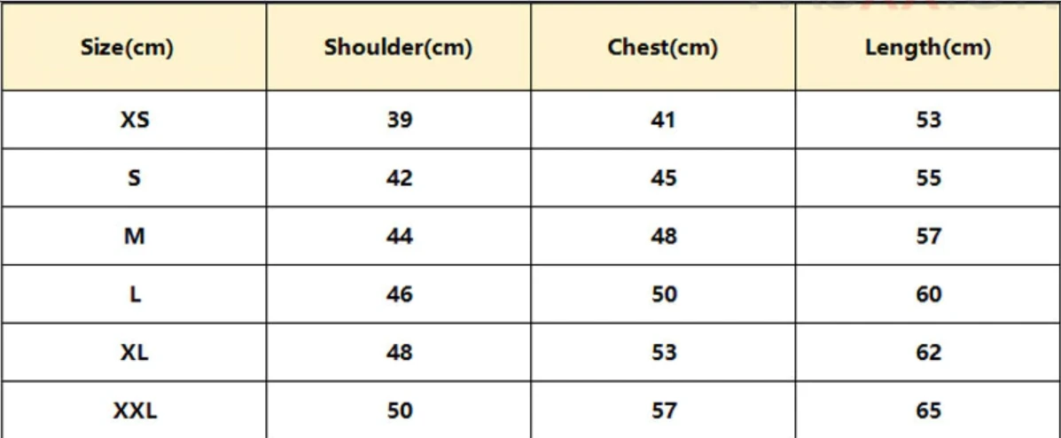 T-Shirt Attaque Des Titans</br>Captain Levi â Image 2